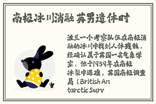 国内精品久久久久久精品一区